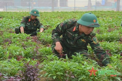 View - 	“Thực túc” tại Bộ CHQS tỉnh Nghệ An