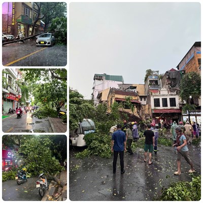 View - 	Ảnh hưởng của bão số 3, gió lớn khiến nhiều cây đổ tại Hà Nội