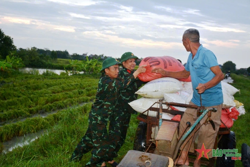 Thanh Hóa: Bộ đội, dân quân giúp dân gặt lúa chạy bão