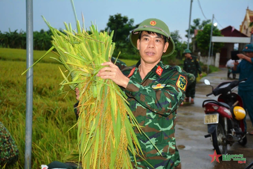 Thanh Hóa: Bộ đội, dân quân giúp dân gặt lúa chạy bão