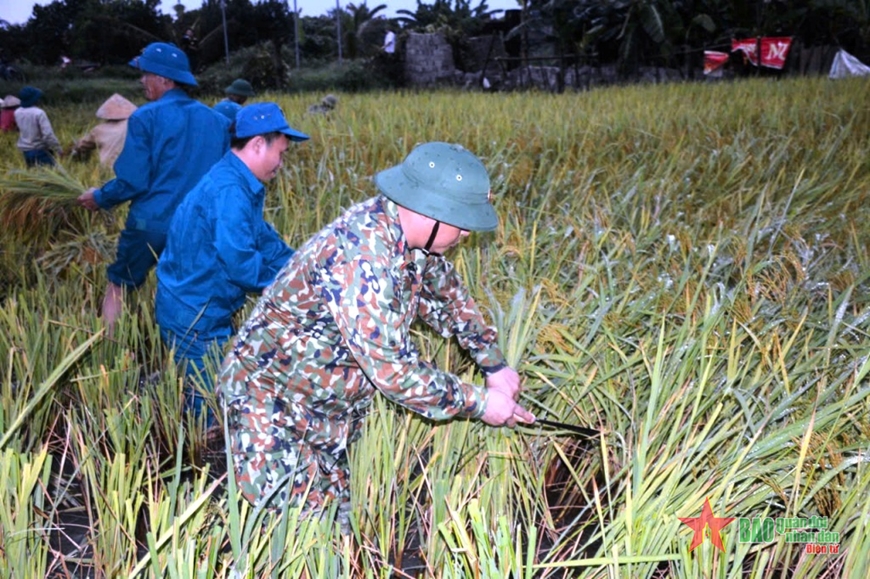 Thanh Hóa: Bộ đội, dân quân giúp dân gặt lúa chạy bão