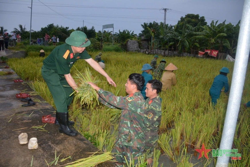 Thanh Hóa: Bộ đội, dân quân giúp dân gặt lúa chạy bão