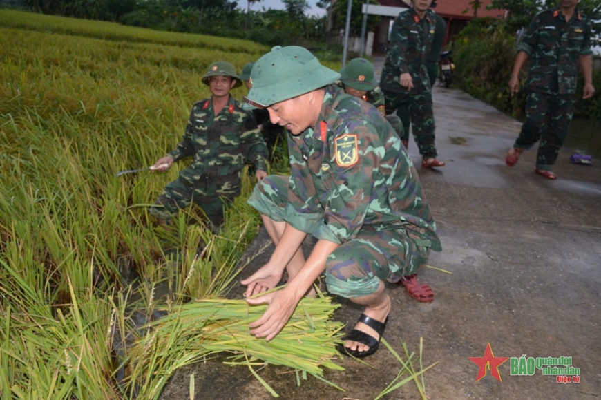 Thanh Hóa: Bộ đội, dân quân giúp dân gặt lúa chạy bão
