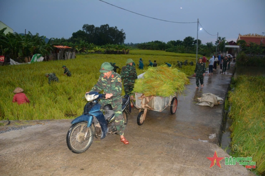 Thanh Hóa: Bộ đội, dân quân giúp dân gặt lúa chạy bão