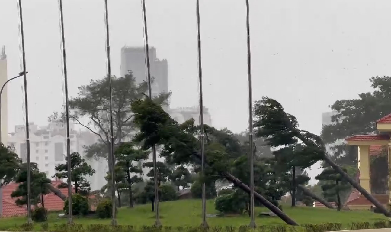 Bão số 3: Quảng Ninh chưa ghi nhận thiệt hại lớn