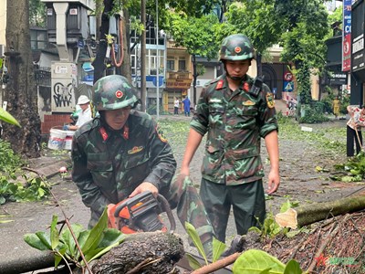 View - 	Các đơn vị quân đội khẩn trường dọn dẹp hậu quả bão số 3 tại Hà Nội