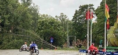 Gallery - 	Bão số 3: Hà Nội không còn nguy hiểm