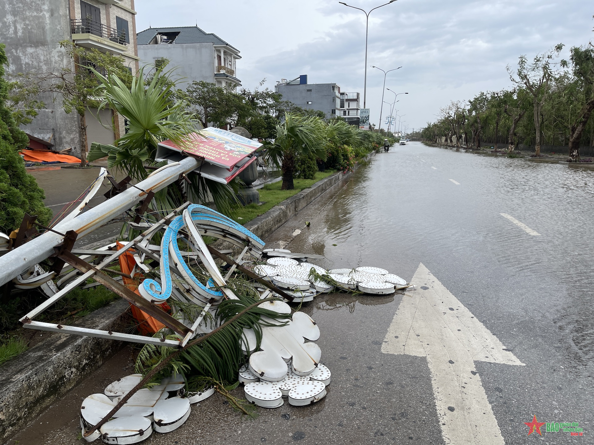 Hải Phòng: Nhiều tuyến đường tại huyện Đồ Sơn tê liệt sau bão số 3