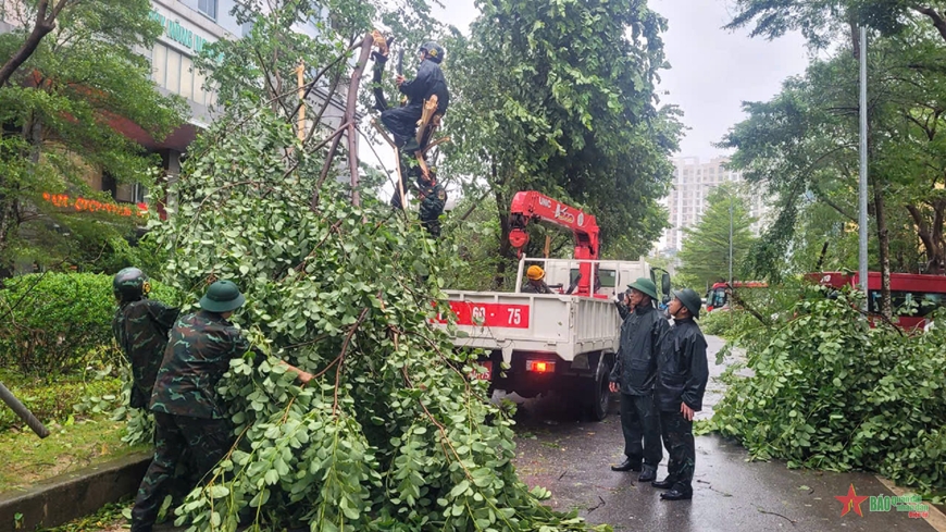 View - 	Quận Tây Hồ khẩn trương khắc phục hậu quả của cơn bão số 3