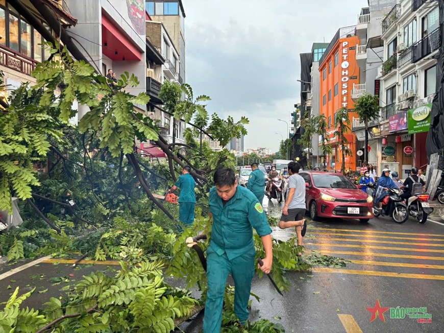 View - 	Quận Tây Hồ khẩn trương khắc phục hậu quả của cơn bão số 3