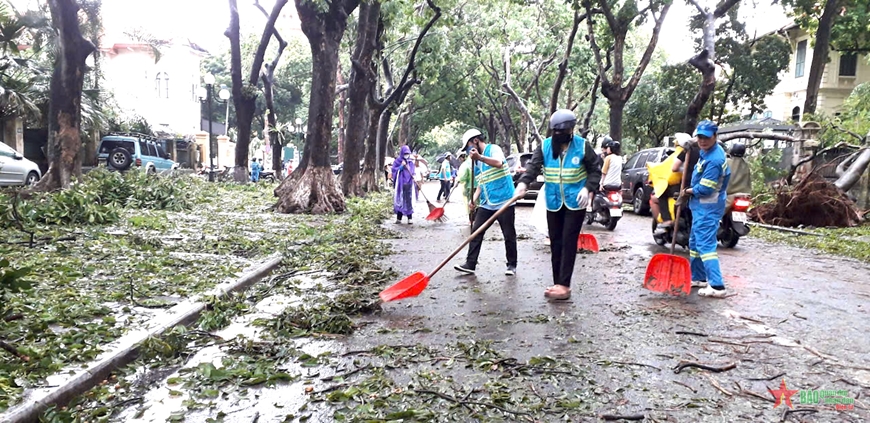 View - 	Hà Nội tập trung dọn dẹp cây xanh ngã đổ, khai thông tuyến phố