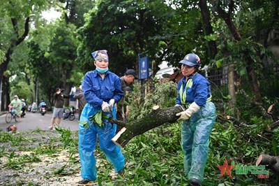 Gallery - 	Ttrung khắc phục các tuyến phố Hà Nội sau bão số 3
