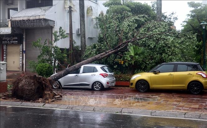 Bão số 3, mưa lũ, sạt lở đất làm hàng trăm người chết, mất tích, bị thương