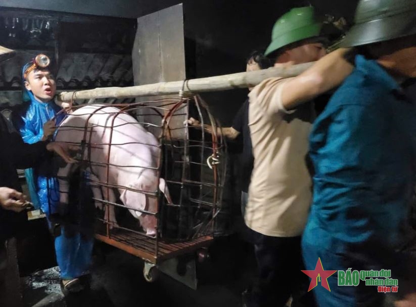Yên Bái: Lũ dâng cao, TP Yên Bái ngập sâu trong biển nước