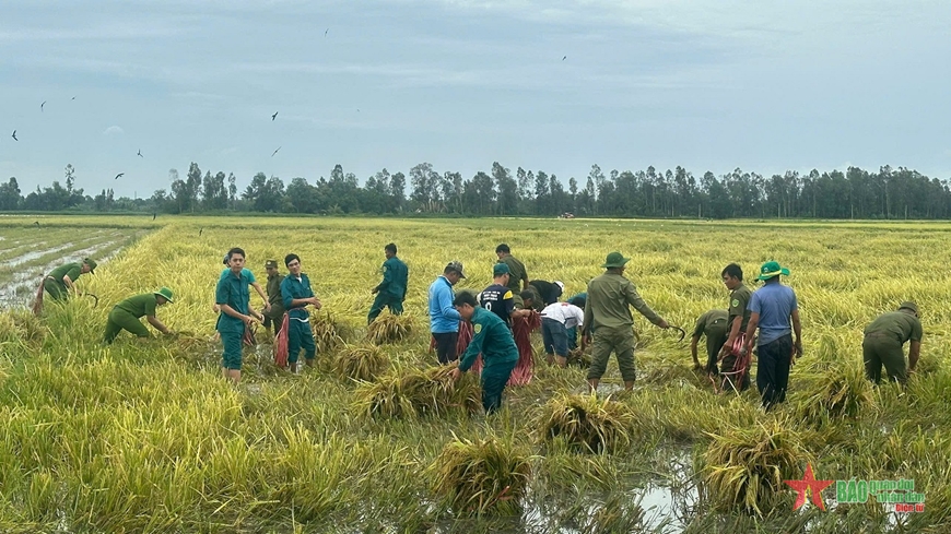 Lực lượng vũ trang tỉnh Kiên Giang khẩn trương giúp dân khắc phục hậu quả do thiên tai