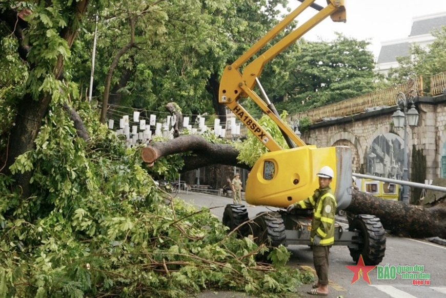 Công nhân cây xanh Hà Nội làm việc 24/24 giải tỏa cây đổ