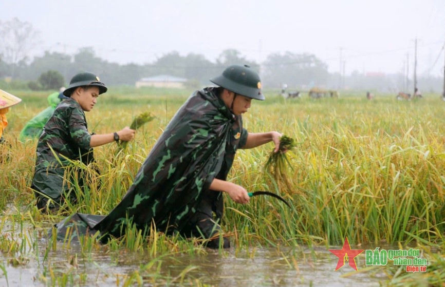 Dốc sức khắc phục hậu quả thiên tai