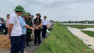 View - 	Hà Nội: Kiểm tra phòng chống bão, lũ ở thị xã Sơn Tây