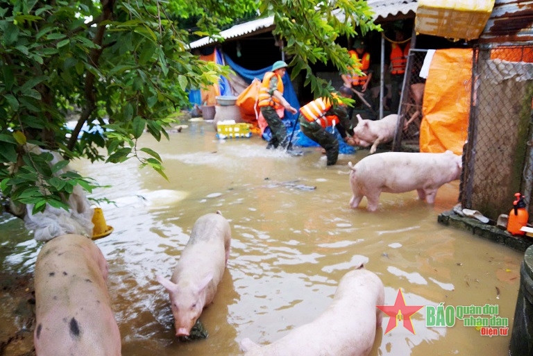 Lữ đo&agrave;n 368 sơ t&aacute;n nh&acirc;n d&acirc;n đến vị tr&iacute; an to&agrave;n