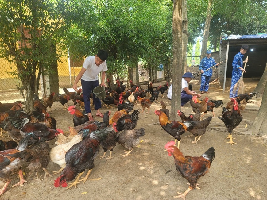 Hải đội 102: Ấn tượng về kết quả tăng gia giữa miền gió Lào, cát trắng Hải đội 102: Ấn tượng về kết quả tăng gia giữa miền gió Lào, cát trắng