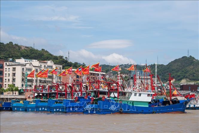 Trung Quốc: Thành phố Thượng Hải hủy tất cả các chuyến bay để ứng phó bão Bebinca