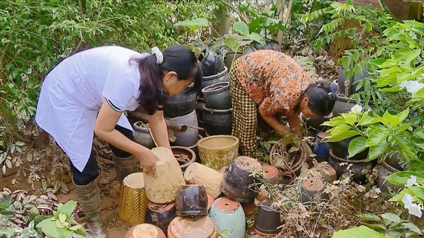 Y tế Hà Nội: Tập trung xử lý môi trường, phòng, chống dịch bệnh sau bão lũ