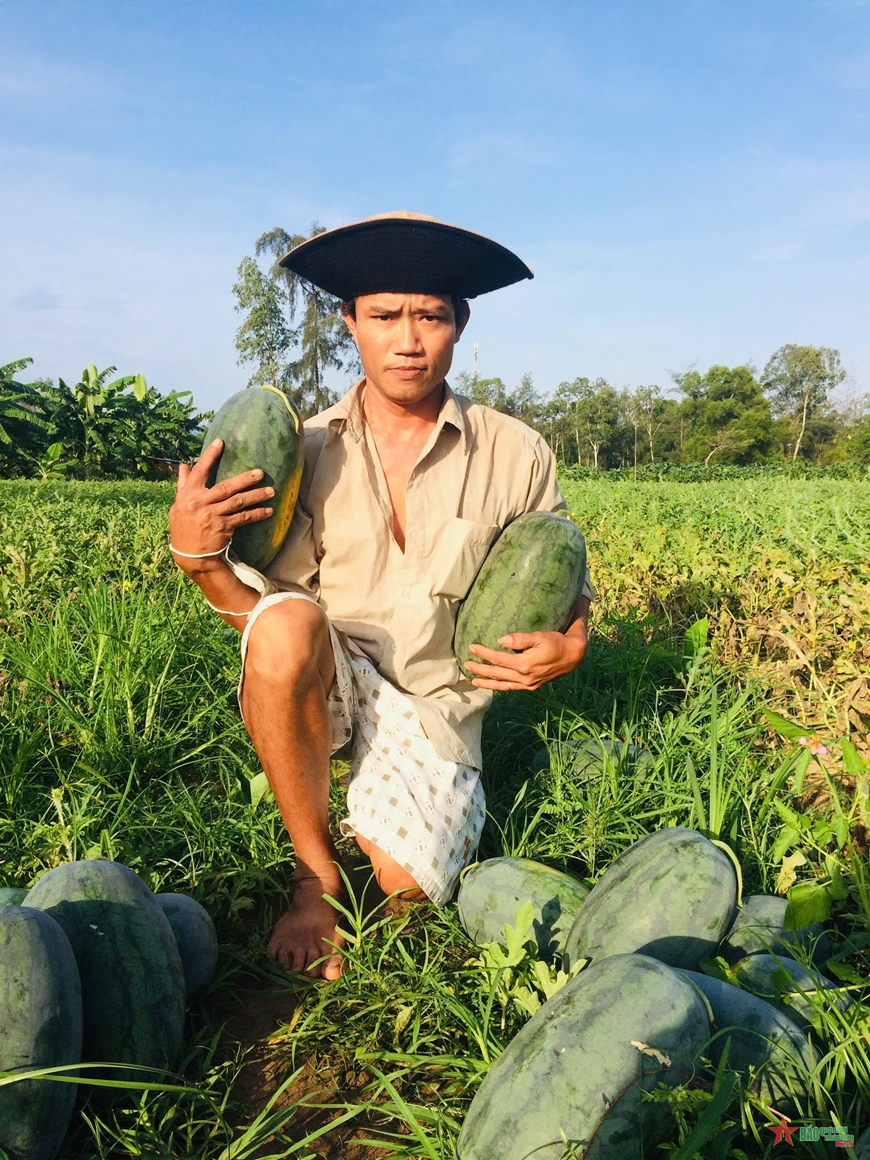 Cựu dân quân làm giàu trên đồng cát quê hương