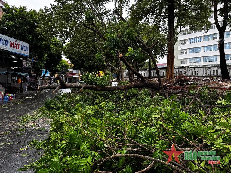 Quảng Bình: Chủ động phòng chống, sẵn sàng ứng phó với mưa bão