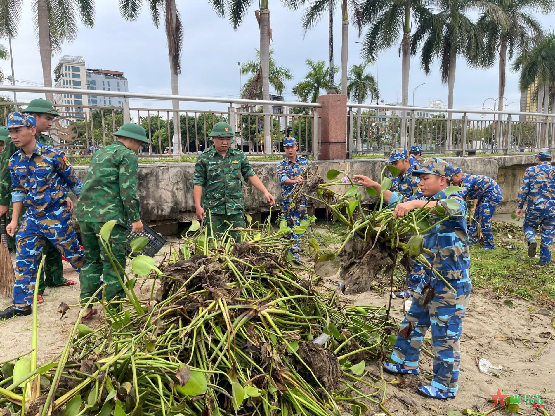 Tuổi trẻ Bộ đội Biên phòng thành phố Đà Nẵng ra quân dọn dẹp vệ sinh môi trường 