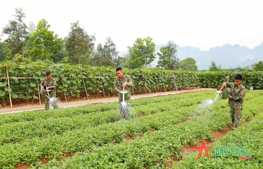 Tình yêu lao động - một đức tính quý báu của Bộ đội Cụ Hồ