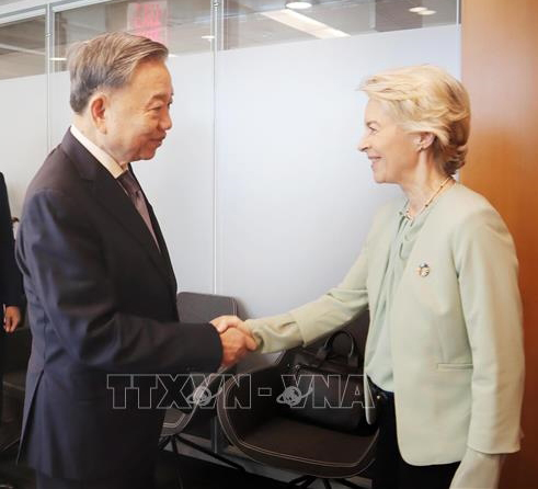 Tổng Bí thư, Chủ tịch nước Tô Lâm gặp song phương