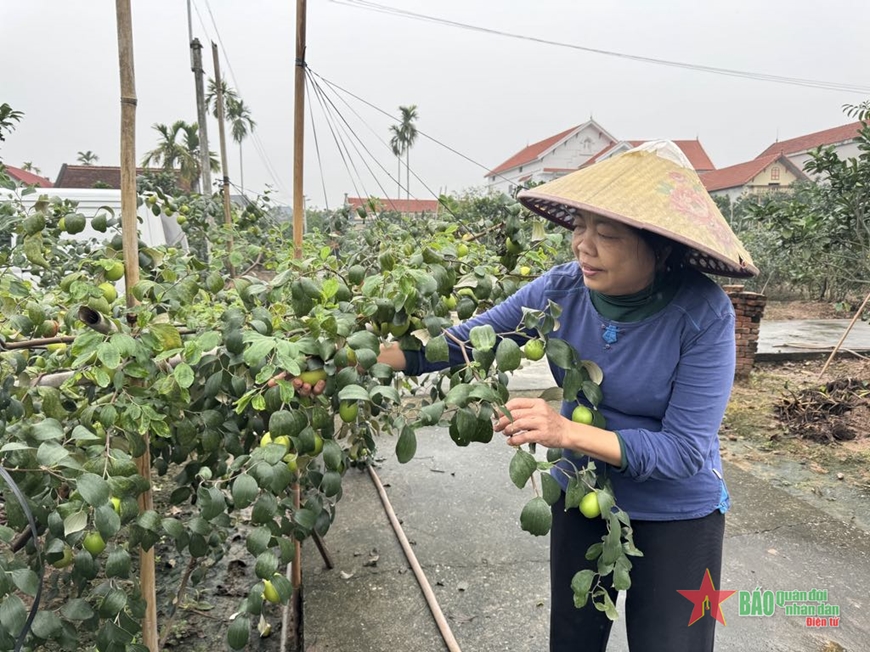 Ngày Quốc tế Người cao tuổi 1-10: Đẩy mạnh chăm sóc sức khỏe người cao tuổi