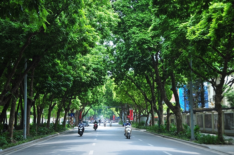 Thời tiết hôm nay (4-10): Bắc Bộ sáng và đêm trời lạnh, Nam Bộ có dông