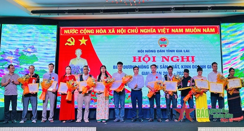 Hơn 9.000 lượt hội viên, nông dân tỉnh Gia Lai được đào tạo nghề trong giai đoạn 2022-2024