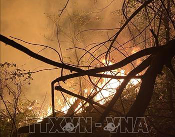 Hải Dương: Nỗ lực dập tắt đám cháy rừng tại thị xã Kinh Môn