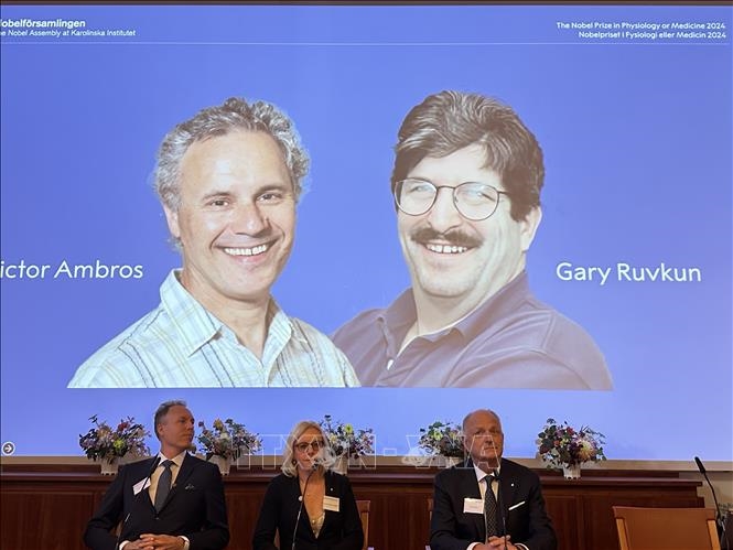 Nobel 2024: Giải Nobel Y Sinh khẳng định giá trị của việc phát hiện RNA siêu nhỏ