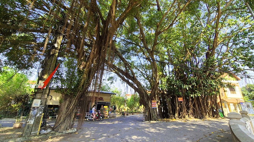 Yên bình cuộc sống ven đô Hà Nội