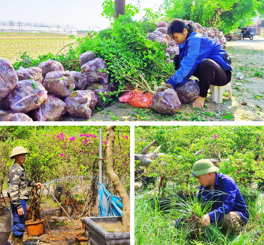 Yên bình cuộc sống ven đô Hà Nội