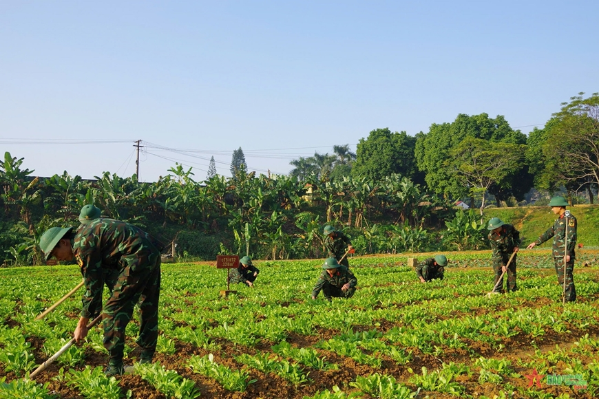 Bộ đội Lữ đoàn Tăng thiết giáp 406 tăng gia sản xuất giỏi