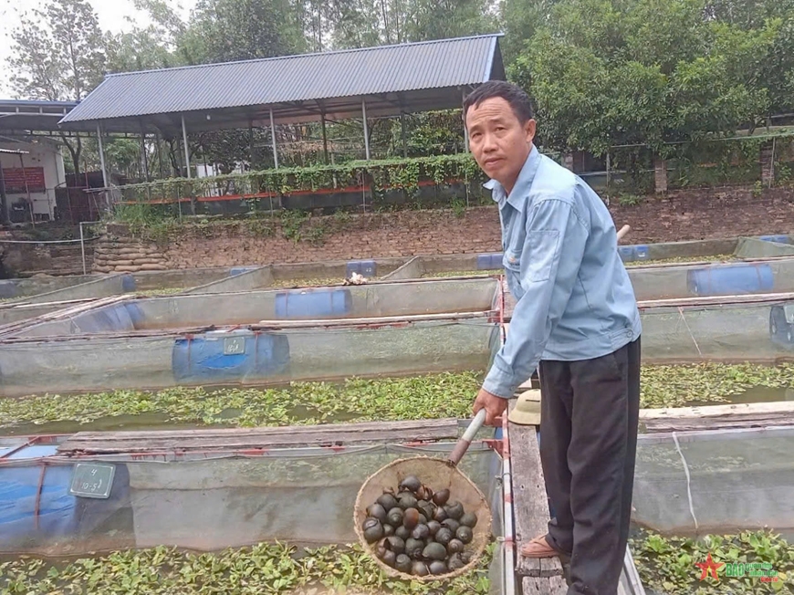 “Ốc nhồi 3 sao” trên vùng đất hoang