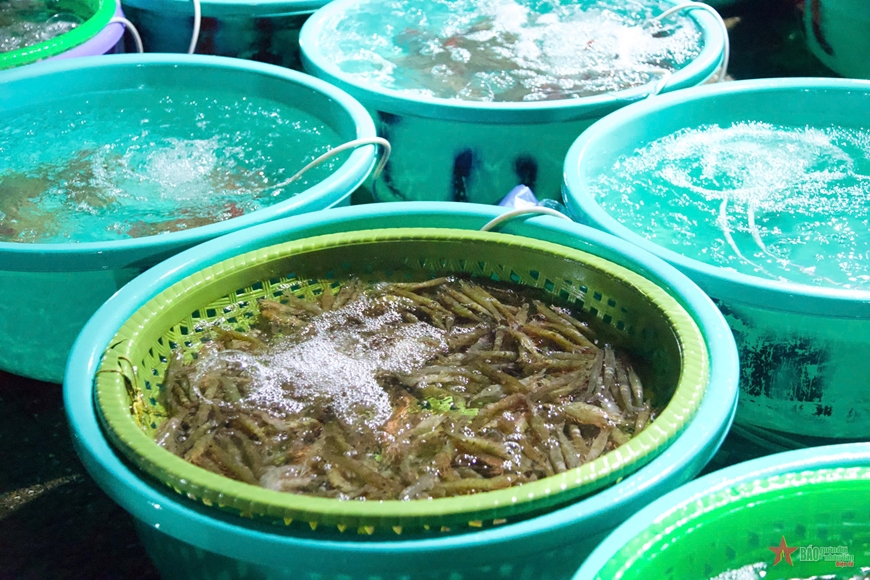 Chợ hải sản 