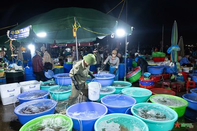 Gallery - 	Chợ hải sản không ngủ tại Hạ Long