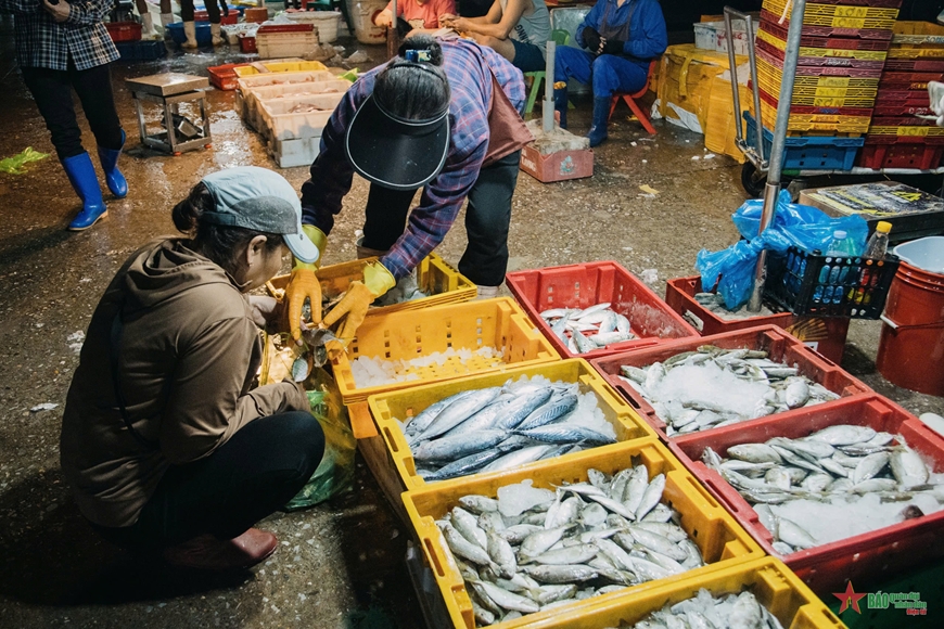 Chợ hải sản 