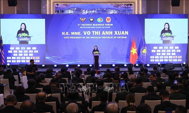 Phó chủ tịch nước Võ Thị Ánh Xuân dự Diễn đàn Doanh nghiệp Cựu chiến binh ASEAN lần thứ nhất