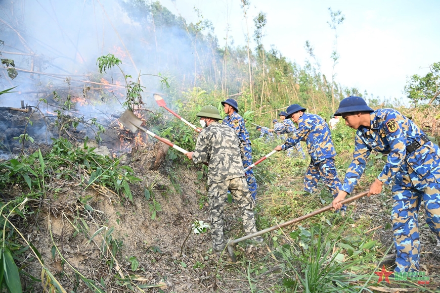Quảng Ninh: Cháy khoảng 20ha rừng ở TP Hạ Long