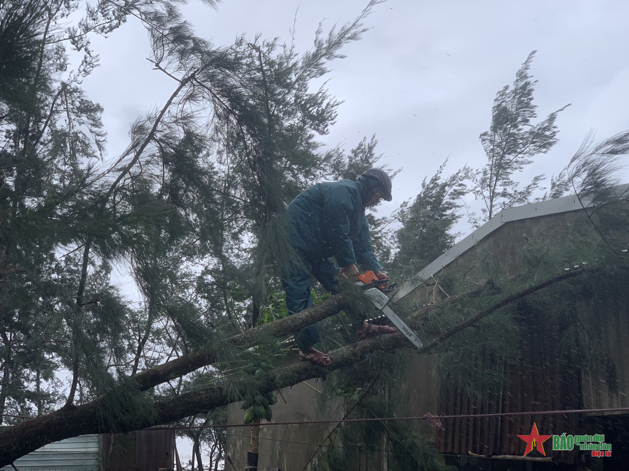 Video: Lực lượng vũ trang Quân khu 4 khẩn trương ứng phó bão số 6