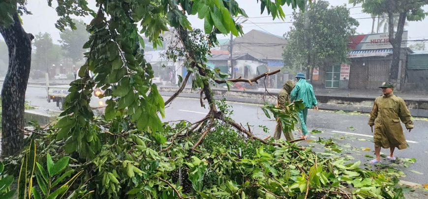 Thừa Thiên Huế: Nước biển dâng cao, nhiều cây xanh ngã, đổ