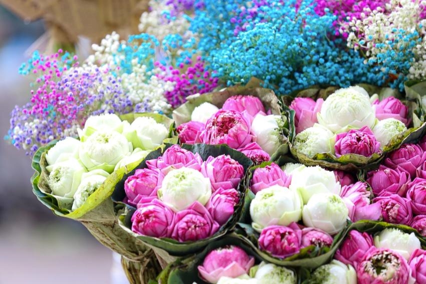 Thời tiết hôm nay (2-11): Nhiều nơi trời lạnh
