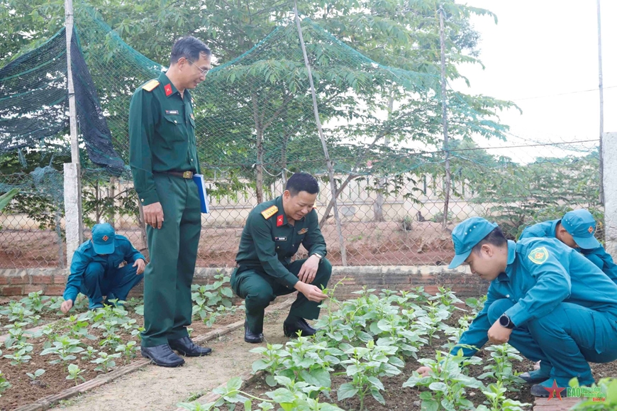 Tổng cục Chính trị kiểm tra kết quả hoạt động công tác Đảng, công tác chính trị tại Bình Định