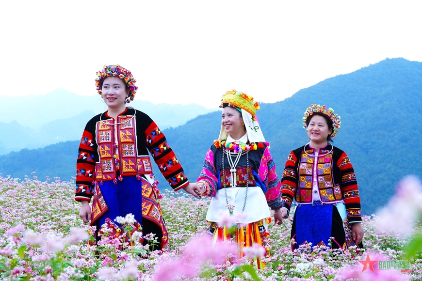 Du khách ngắm hoa tam giác mạch trên cao nguyên đá Hà Giang
